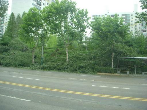 DSCN5400.JPG